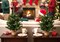 2' Pre-Lit Northern Spruce 2' Christmas Tree with Burlap Base | Tabletop Tree | Indoor/Outdoor Use | Holiday & Christmas tree Décor | Tabletop Accent | Home & Office Decoration